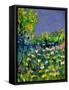 Summer 569031-Pol Ledent-Framed Stretched Canvas