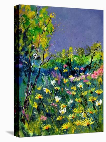 Summer 569031-Pol Ledent-Stretched Canvas