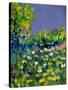 Summer 569031-Pol Ledent-Stretched Canvas