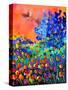 Summer 674170-Pol Ledent-Stretched Canvas