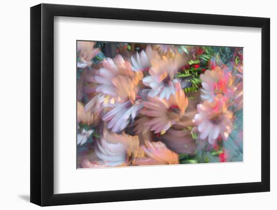 Summer abstract-Heidi Westum-Framed Photographic Print