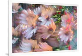 Summer abstract-Heidi Westum-Framed Photographic Print