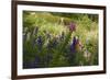 Summer Abundance, 2018-Helen White-Framed Giclee Print