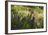 Summer Abundance, 2018,-Helen White-Framed Giclee Print