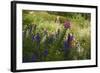 Summer Abundance, 2018,-Helen White-Framed Giclee Print