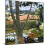 Summer amongst the reeds-Cristiana Angelini-Mounted Giclee Print