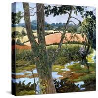 Summer amongst the reeds-Cristiana Angelini-Stretched Canvas