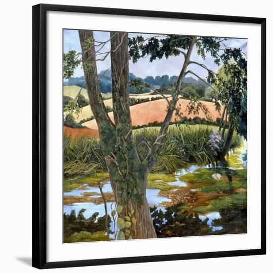 Summer amongst the reeds-Cristiana Angelini-Framed Giclee Print