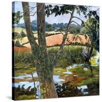 Summer amongst the reeds-Cristiana Angelini-Stretched Canvas