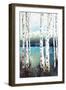 Summer Aspens I-Rikki Drotar-Framed Giclee Print