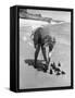 Summer at Cape Cod: Bottles of Coca Cola Buried in the Surf to Keep Them Cool-Alfred Eisenstaedt-Framed Stretched Canvas