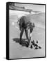 Summer at Cape Cod: Bottles of Coca Cola Buried in the Surf to Keep Them Cool-Alfred Eisenstaedt-Framed Stretched Canvas