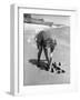 Summer at Cape Cod: Bottles of Coca Cola Buried in the Surf to Keep Them Cool-Alfred Eisenstaedt-Framed Photographic Print