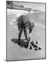 Summer at Cape Cod: Bottles of Coca Cola Buried in the Surf to Keep Them Cool-Alfred Eisenstaedt-Mounted Photographic Print