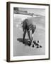 Summer at Cape Cod: Bottles of Coca Cola Buried in the Surf to Keep Them Cool-Alfred Eisenstaedt-Framed Photographic Print