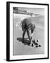 Summer at Cape Cod: Bottles of Coca Cola Buried in the Surf to Keep Them Cool-Alfred Eisenstaedt-Framed Photographic Print