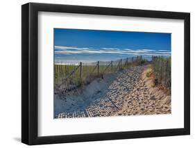 Summer at Cape Cod-Rolf_52-Framed Photographic Print