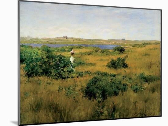 Summer at Shinnecock Hills, 1891-William Merritt Chase-Mounted Giclee Print