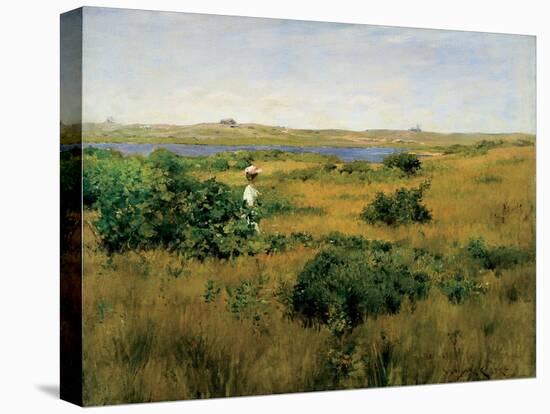 Summer at Shinnecock Hills, 1891-William Merritt Chase-Stretched Canvas