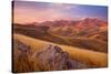 Summer Autumn-Mark Geistweite-Stretched Canvas