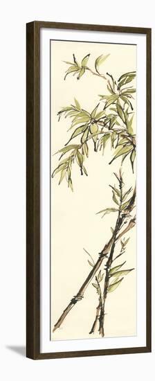 Summer Bamboo I-Chris Paschke-Framed Premium Giclee Print