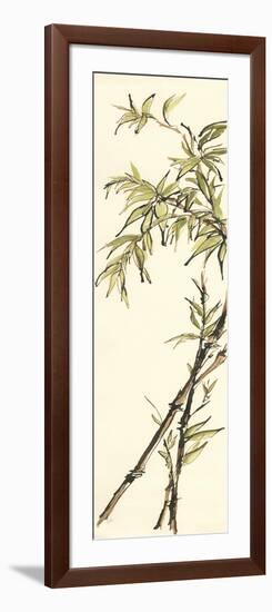 Summer Bamboo I-Chris Paschke-Framed Art Print