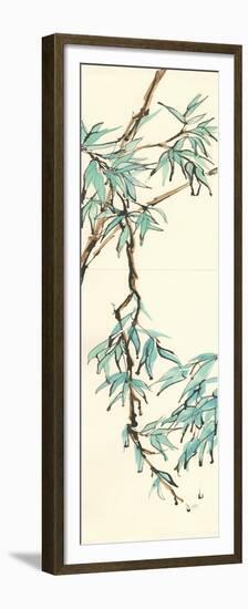 Summer Bamboo II-Chris Paschke-Framed Premium Giclee Print