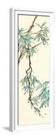 Summer Bamboo II-Chris Paschke-Framed Premium Giclee Print