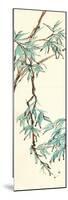Summer Bamboo II-Chris Paschke-Mounted Premium Giclee Print