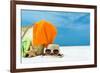 Summer Beach Bag with Coral,Towel and Flip Flops on Sandy Beach-oleggawriloff-Framed Photographic Print