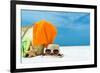 Summer Beach Bag with Coral,Towel and Flip Flops on Sandy Beach-oleggawriloff-Framed Photographic Print