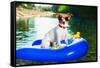 Summer Beach Dog-Javier Brosch-Framed Stretched Canvas