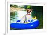 Summer Beach Dog-Javier Brosch-Framed Photographic Print