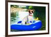 Summer Beach Dog-Javier Brosch-Framed Photographic Print