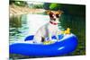Summer Beach Dog-Javier Brosch-Mounted Photographic Print