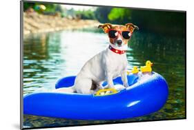 Summer Beach Dog-Javier Brosch-Mounted Photographic Print