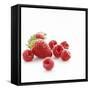 Summer Berries-David Munns-Framed Stretched Canvas