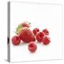 Summer Berries-David Munns-Stretched Canvas