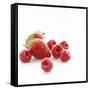 Summer Berries-David Munns-Framed Stretched Canvas