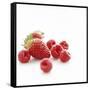 Summer Berries-David Munns-Framed Stretched Canvas