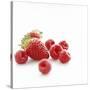 Summer Berries-David Munns-Stretched Canvas