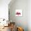 Summer Berries-David Munns-Premium Photographic Print displayed on a wall