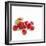 Summer Berries-David Munns-Framed Premium Photographic Print