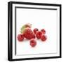 Summer Berries-David Munns-Framed Premium Photographic Print