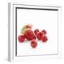 Summer Berries-David Munns-Framed Premium Photographic Print