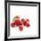 Summer Berries-David Munns-Framed Photographic Print