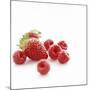 Summer Berries-David Munns-Mounted Photographic Print