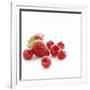 Summer Berries-David Munns-Framed Photographic Print