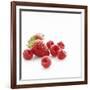 Summer Berries-David Munns-Framed Photographic Print