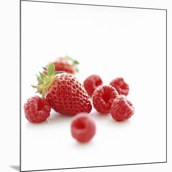 Summer Berries-David Munns-Mounted Photographic Print